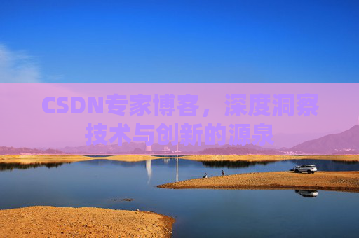 CSDN专家博客，深度洞察技术与创新的源泉